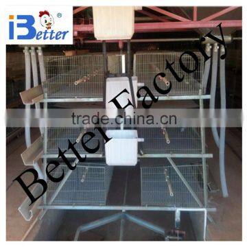 High quality full-automatic broiler chicken cage( factory price)