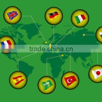 Permanent Professional CE Approved Multi-Functional Beauty Salon Equipment CE