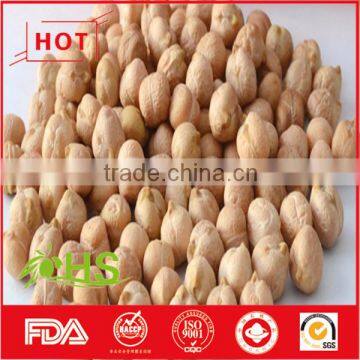 Wholesale Chickpea With Great Quality and Best Price