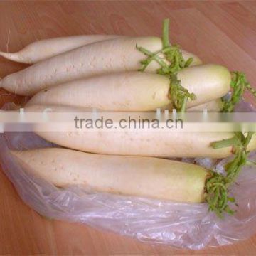 white radish promotion