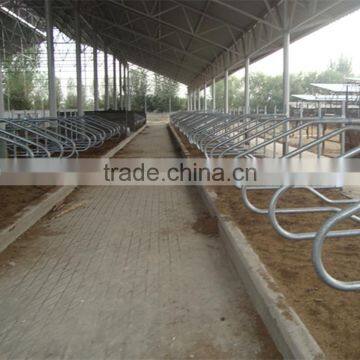 Hot-dipped Galvanized Single Row Cattle Free Stall