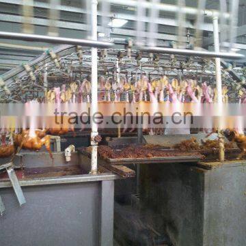 Big capacity Duck Farm Machine