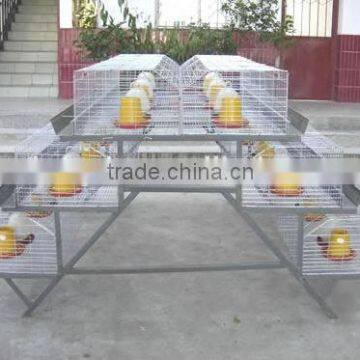 layer poultry cages for nigeria/africa