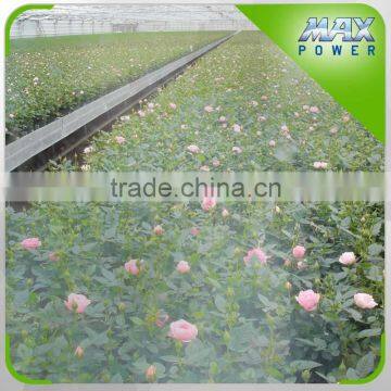 Watering & Irrigation System for Rose Garden photo-2