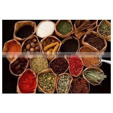 New Design ZNS3-500-5000 Model the Newest Internal-heating Three Effect Energy Saving Evaporator for Liquid photo-6