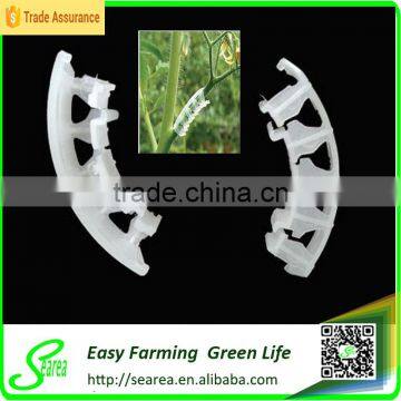 Plastic Tomato Clip for Agriculture Garden Use