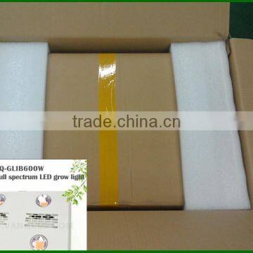 Cob Led Grow Lights 600 W Indoor Light to Grow Plants photo-6