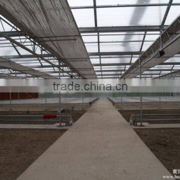 Low Cost Normal Commercial Greenhouse photo-4