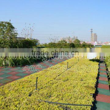 SOL Cheap Price Green Roof Panel Green Roof Planter Grow Pots photo-3