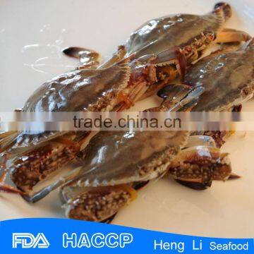 HL003 Crab for Sale FDA Certification photo-5