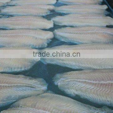 PANGASIUS FISH