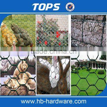 China Supply Fine Hexagonal Wire Netting/Gabion Slope Protection Netting/Cabion Wire Roll(Manufacturer)