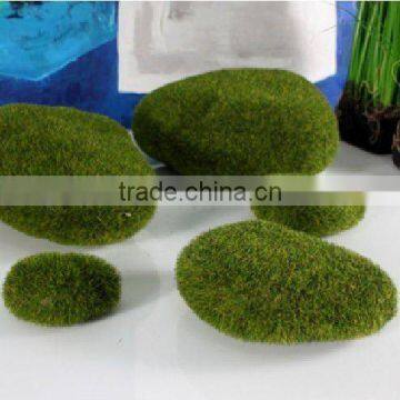 foam moss stone