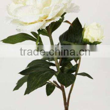 exact quality flower LIGHT CREAM PEONY HOLLYHOCK