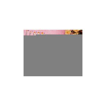 Sell Cosmetic Brush Set