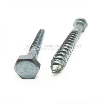 Superior Quality Wood Screw Zinc Plate Head China Handan DIN HEX HEAD WOOD SCREW photo-5