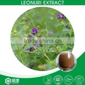 Pure Natural Plant Motherwort Extract,Herba Leonuri Extract,Stachydrine 1%--98%