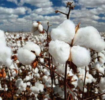 Agriculture Fertilizer Tdz Thidiazuron 50%wp White to Light Yellow Powder photo-3