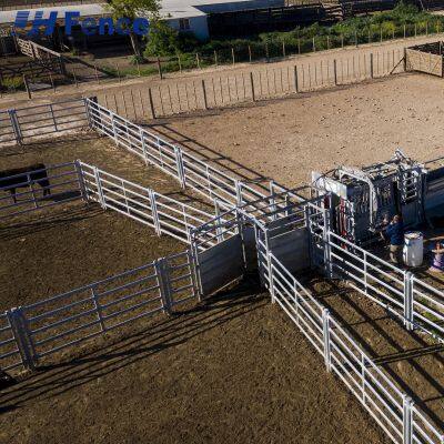 Reliable Ranch Cattle Panel: Trusted Construction for Daily Containing, Sorting, and Managing Valuable Herds