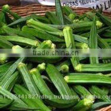 fresh okra export/ladys finger exporter in india/vegetable supplier