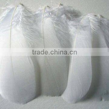 Wholesale goose feather