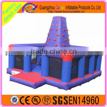 China supply commercial rock climbing wall