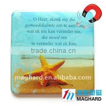 cartoon /tourist/ inspirational fridge magnet/Epoxy magnets for Tourist souvenirs