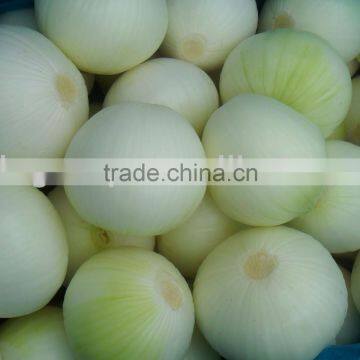 Small Fresh Onion