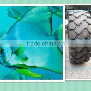 off the road steel tyre manufacturer 17