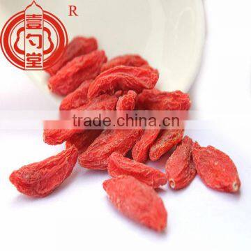 Berry goji bulk goji berries wholesale goji berry