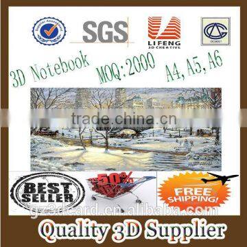Guangzhou lifeng Top texture good making paper diary and notebook 3d notebook