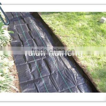 Weed Control Mat PP/PE Fabric photo-3