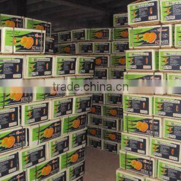 Kino Kinnow Mandarin Tangerine Orange Citrus Fruit From Pakistan photo-6