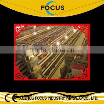 chicken farming cages for poultry breeding