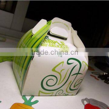 beautiful green paper box for cake