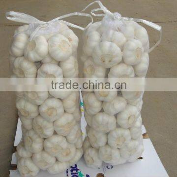 2015 No Pollution and New Harvested Garlic photo-3