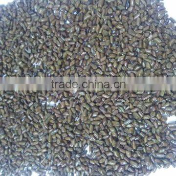 Cassia seed/Cassia tora seed/ cassia gum powder from India
