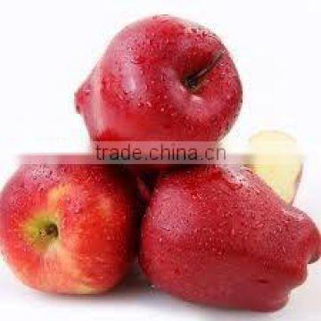 Chinese Fresh Sweet Huaniu Apple With Good Quality