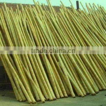 Bamboo Poles and Bamboo Bent Pole