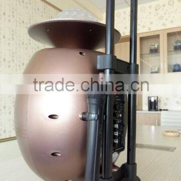 10 Inch Special Feature Speaker Portable Powered Amplifier Speaker Wireless Bluetooth Speaker With Remote Control photo-6