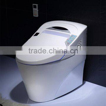 S1101 Toilet smart vagina toilet bidet