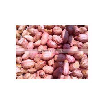 Blanched Peanuts Kernel Price PEANUT BOLD 80-90 COUNT