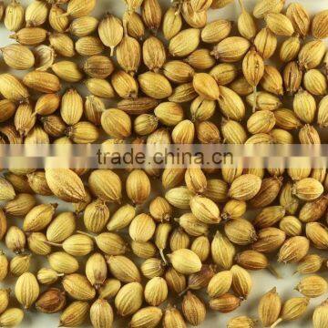 Indian High Grade Fresh Wholesale Dried Coriander Seed