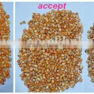 2016 With 5000+pixel Corn Nuts Processing Machine/snack Production Line Sorting Machine photo-6