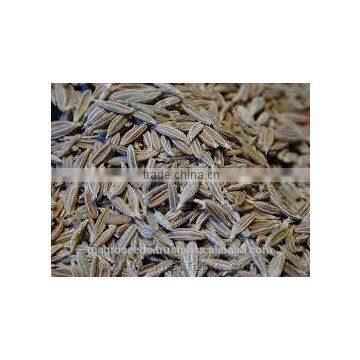 Cumin 99% Pure photo-3