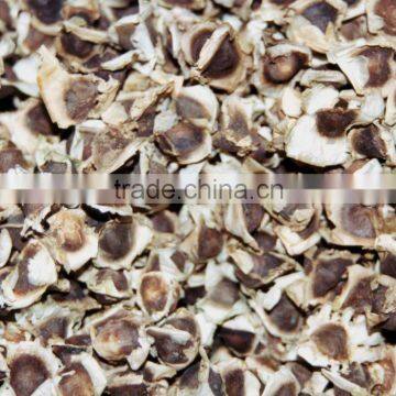 Moringa Oleifera Seeds Available... photo-1