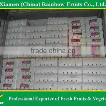 Fresh Sweet Red Grape for Export photo-2