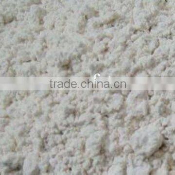 NEW CROP 100% Natural White Garlic Powder photo-3