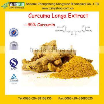 GMP Factory Supply Natural Rhizoma Curcuma Longa Extract