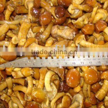 Brined Nameko from fresh material